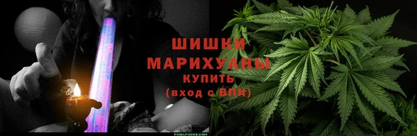 ГАЛЛЮЦИНОГЕННЫЕ ГРИБЫ Рославль