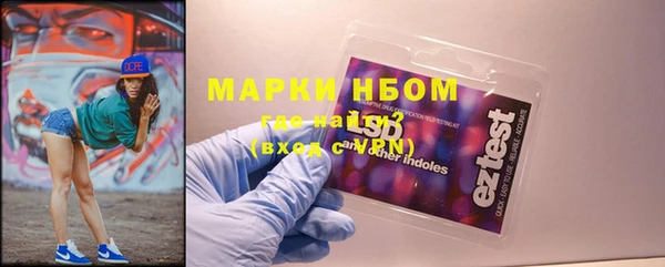 ГАЛЛЮЦИНОГЕННЫЕ ГРИБЫ Рославль