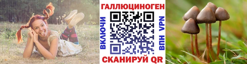 гидра зеркало  Бугуруслан  Галлюциногенные грибы мухоморы  где можно купить наркотик 